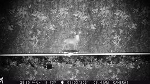 motion in economy mode