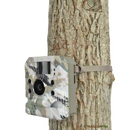 Hawk HD16 Black game camera review